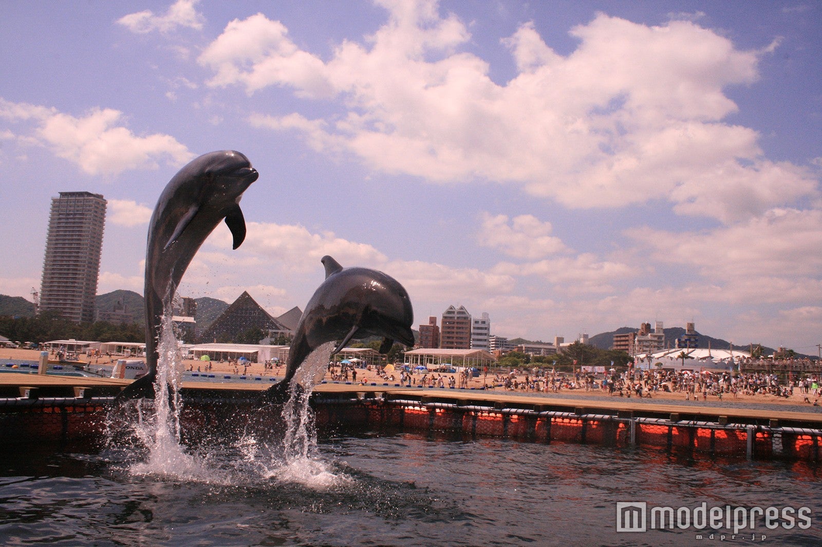 須磨ドルフィンコースト／画像提供：一般社団法人 日本イルミネーション協会