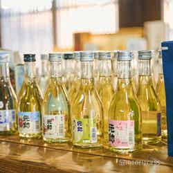 元師酒造(C)モデルプレス