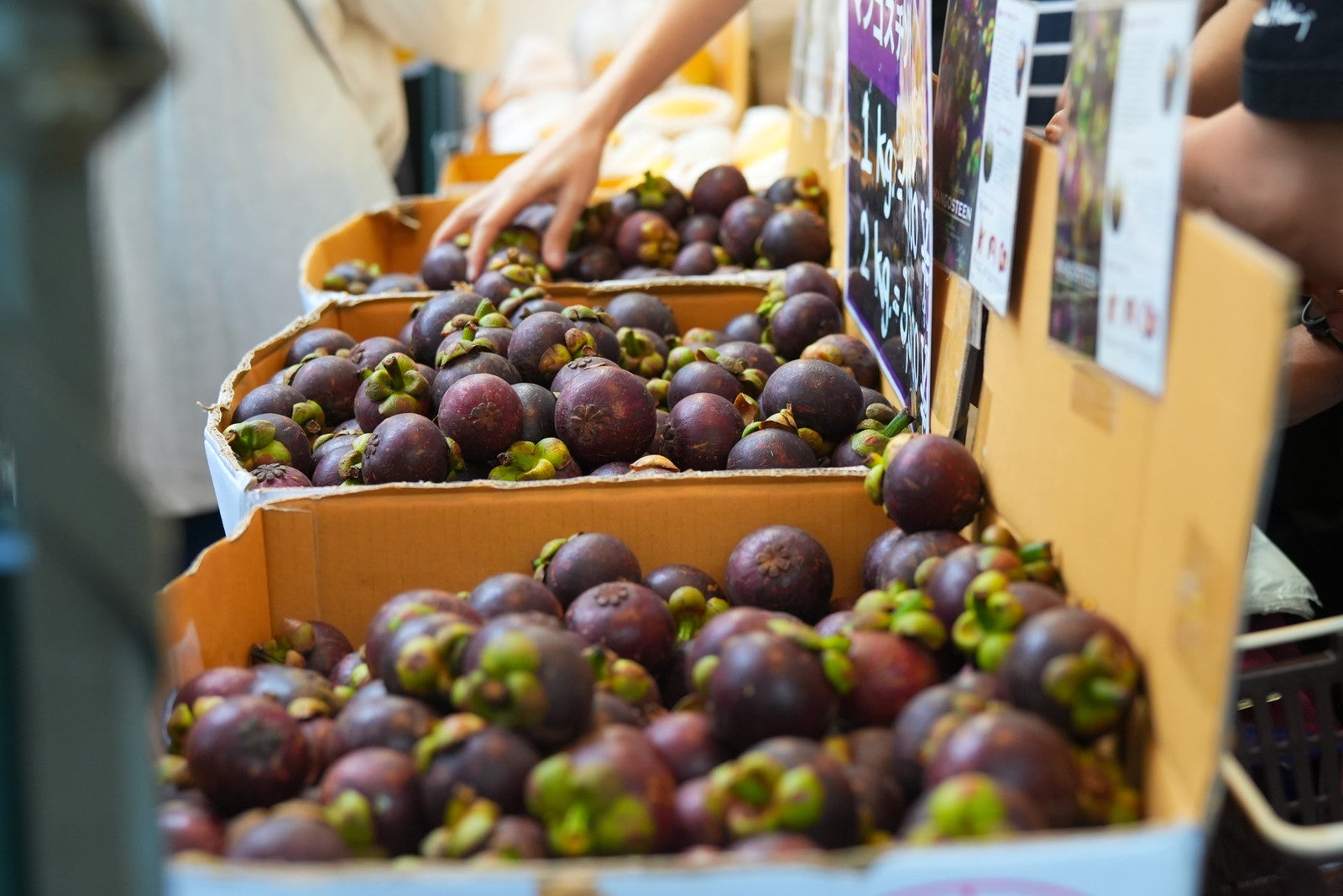 過去のタイフェスティバルの様子／提供画像