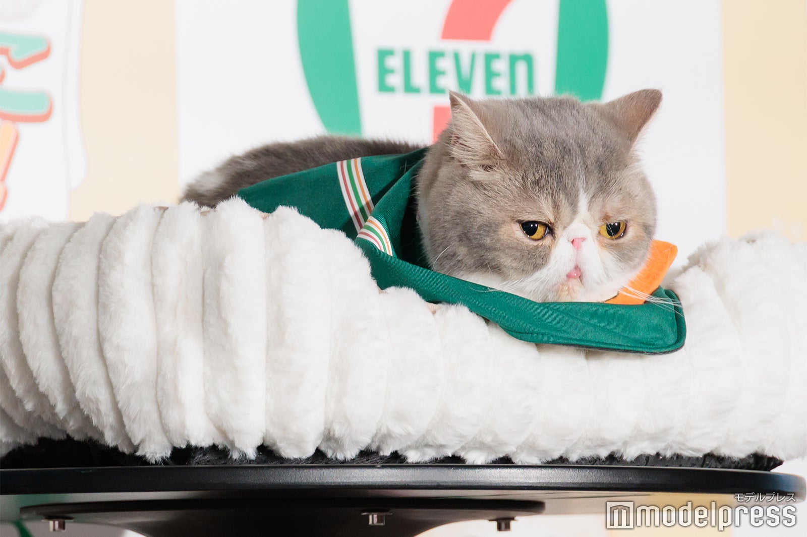 ポセイドンくん（C）モデルプレス