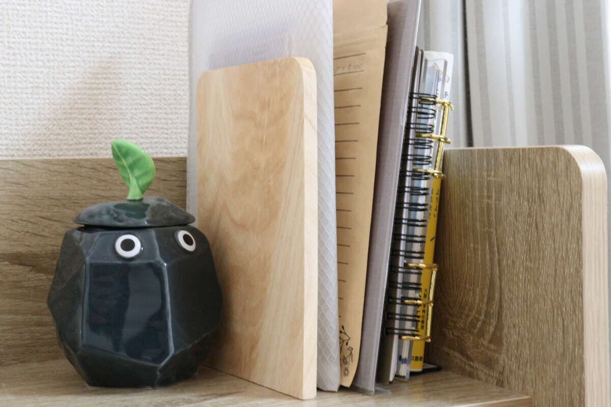 ブックエンド（ゴムの木）　使用例