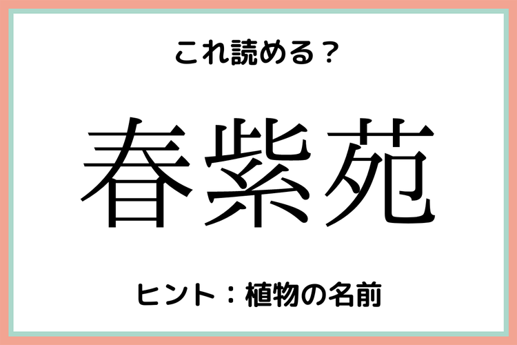 春紫苑 って何 読めたらすごい 難読漢字 4選 モデルプレス