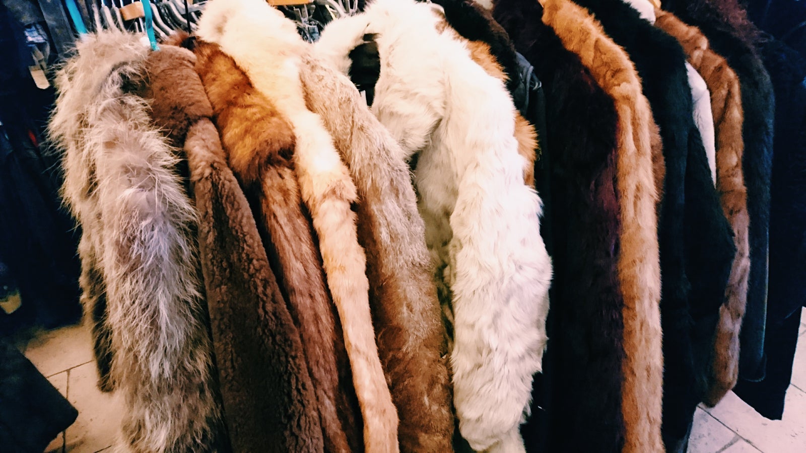 FREE“P”STAR／画像提供：所属事務所