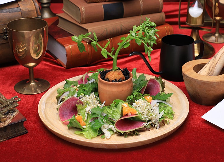 薬草学サラダ税込1,100円（提供画像）