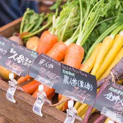 生野菜も手に入る／画像提供：東京ベジフードフェスタ2015実行委員会