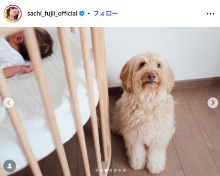 藤井サチInstagramより