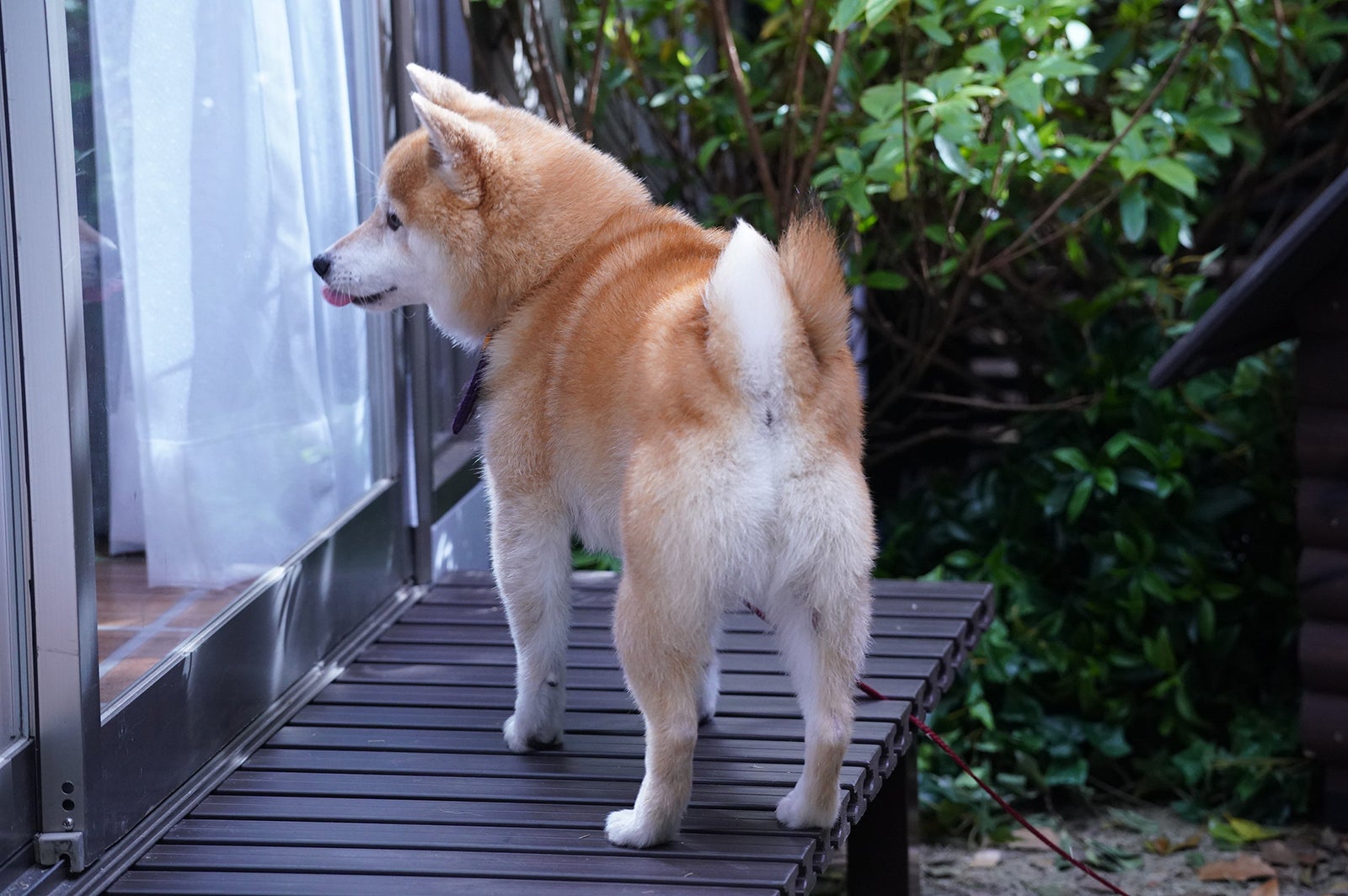 「ナンバMG5」第6話より（C）フジテレビ