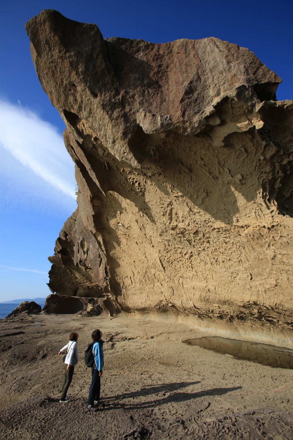 これぞ自然の造形美「鬼ヶ城」千畳敷／提供画像