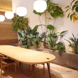 RETONA HAKONE(C)モデルプレス