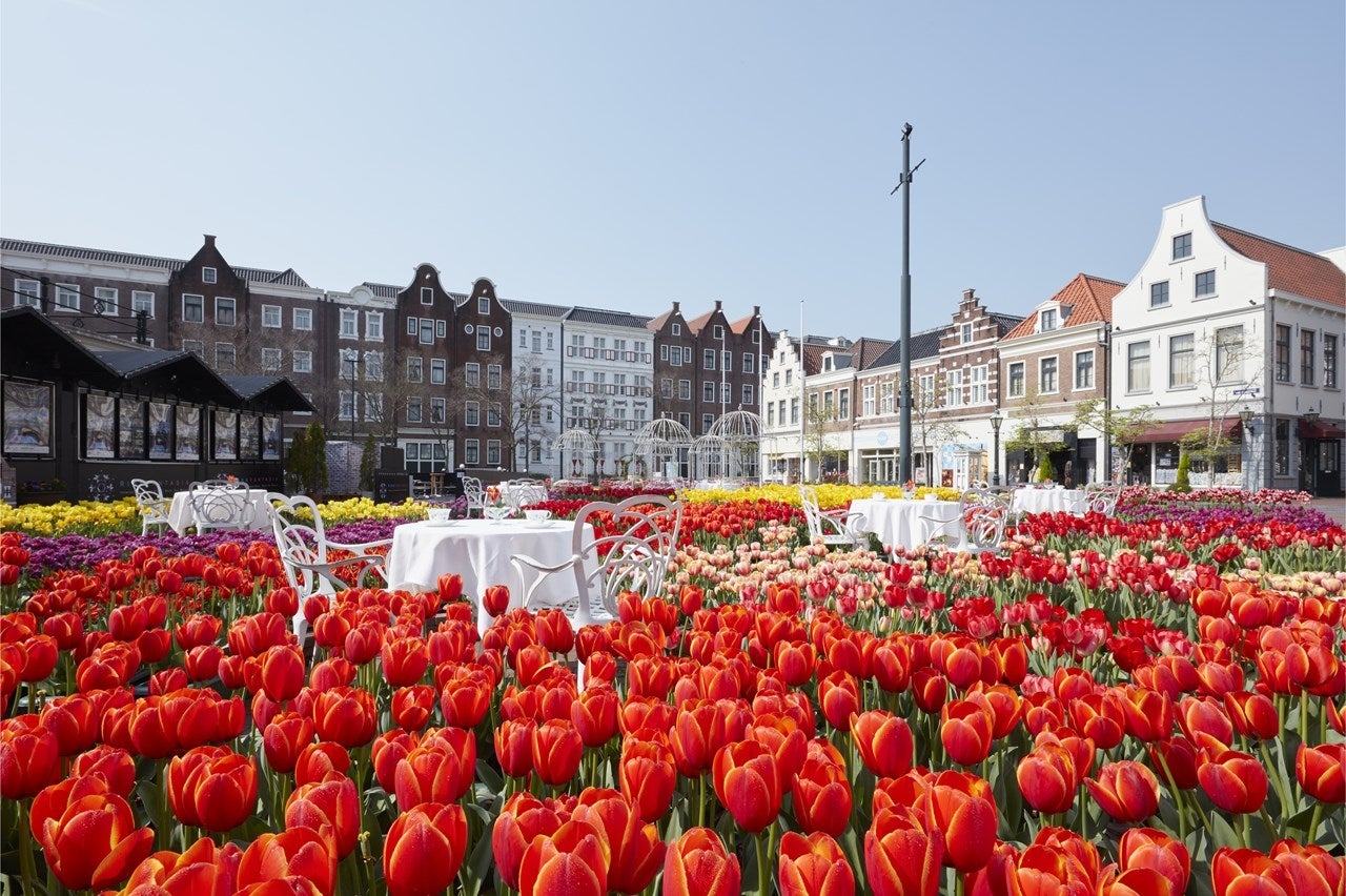 チューリップ祭／画像提供：ハウステンボス