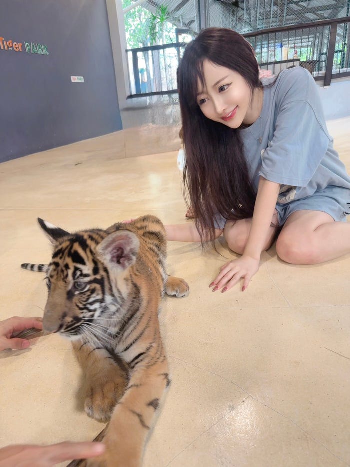 旅行の様子(提供画像)