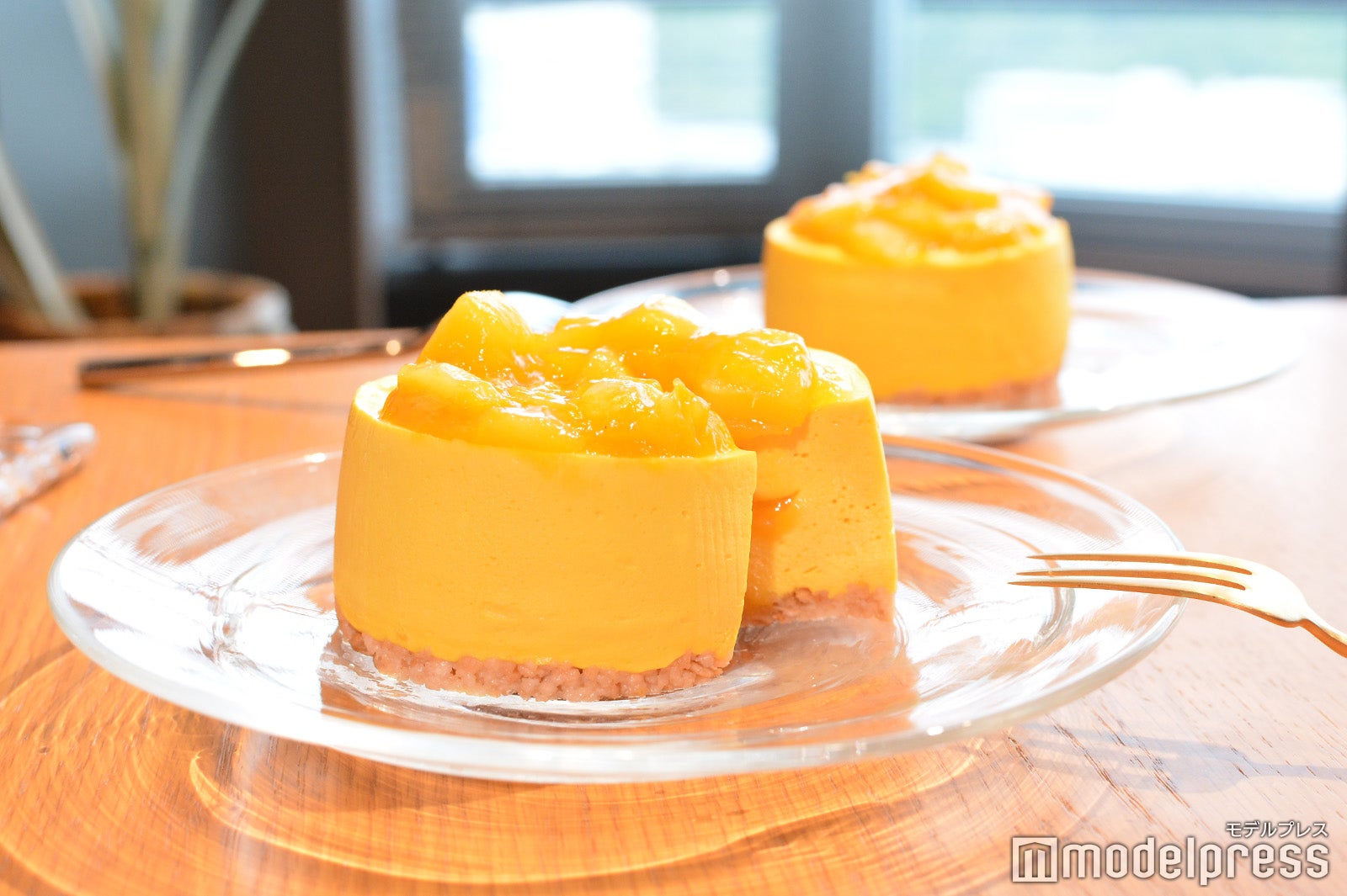 マンゴームースケーキ（C）モデルプレス