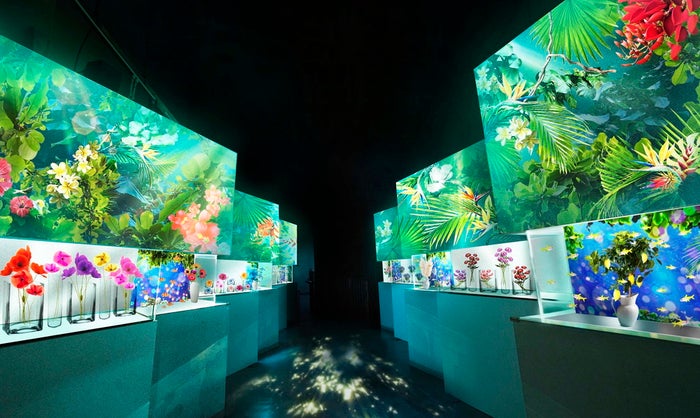NAKED FLOWER AQUARIUM‐Bring You Happiness‐/画像提供:横浜八景島