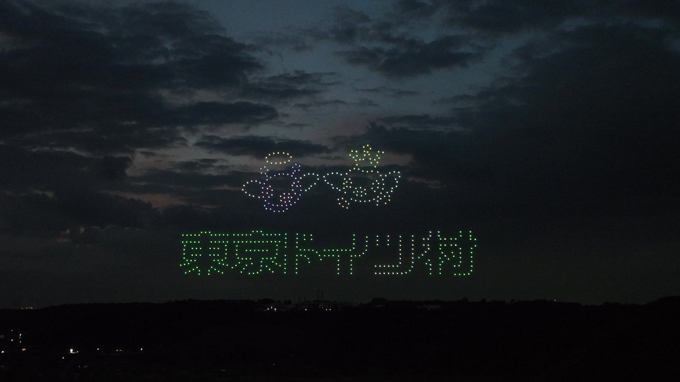 東京ドイツ村ウインターイルミネーション(提供写真)