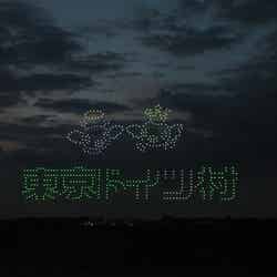 東京ドイツ村ウインターイルミネーション(提供写真)