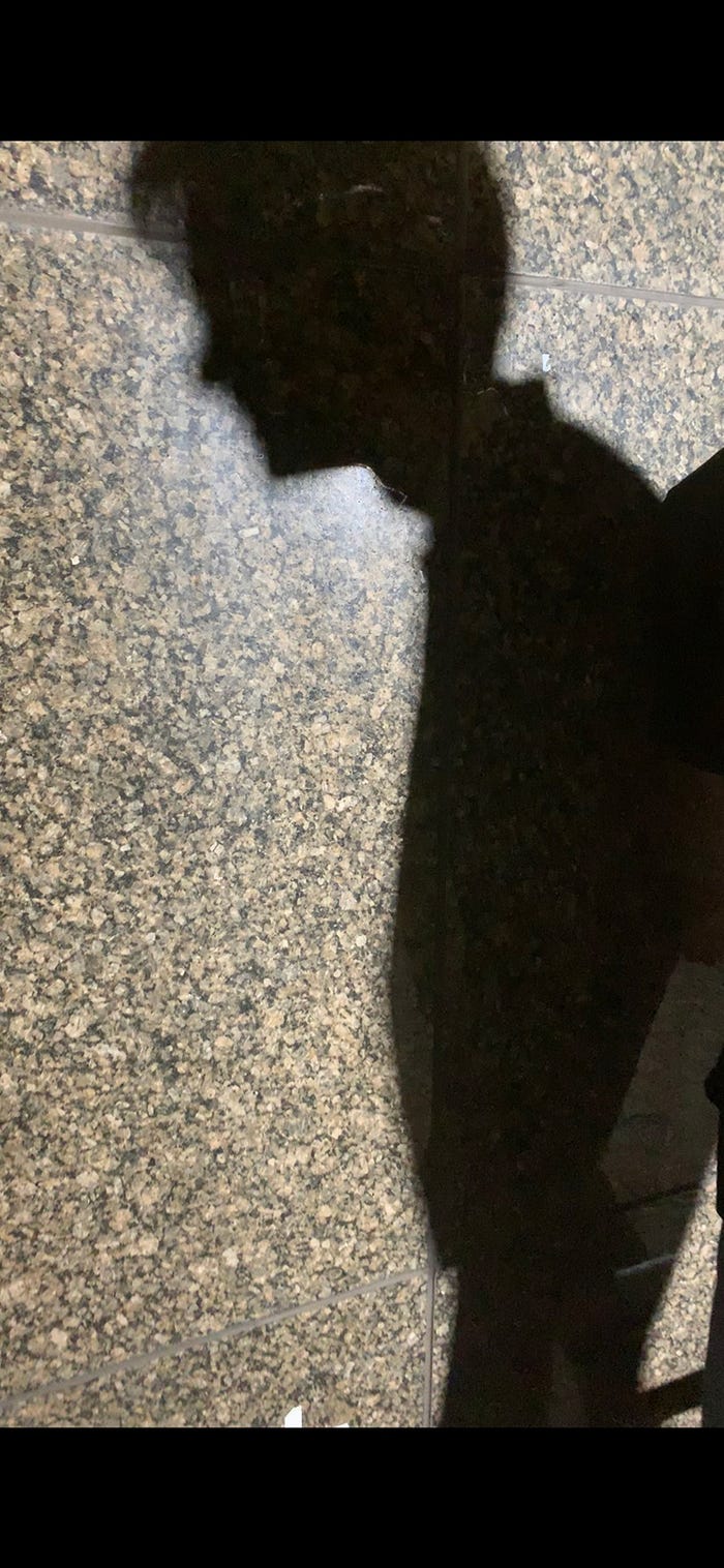 「ViVi」7月号「2019年上半期国宝級イケメンランキング」/画像提供:講談社