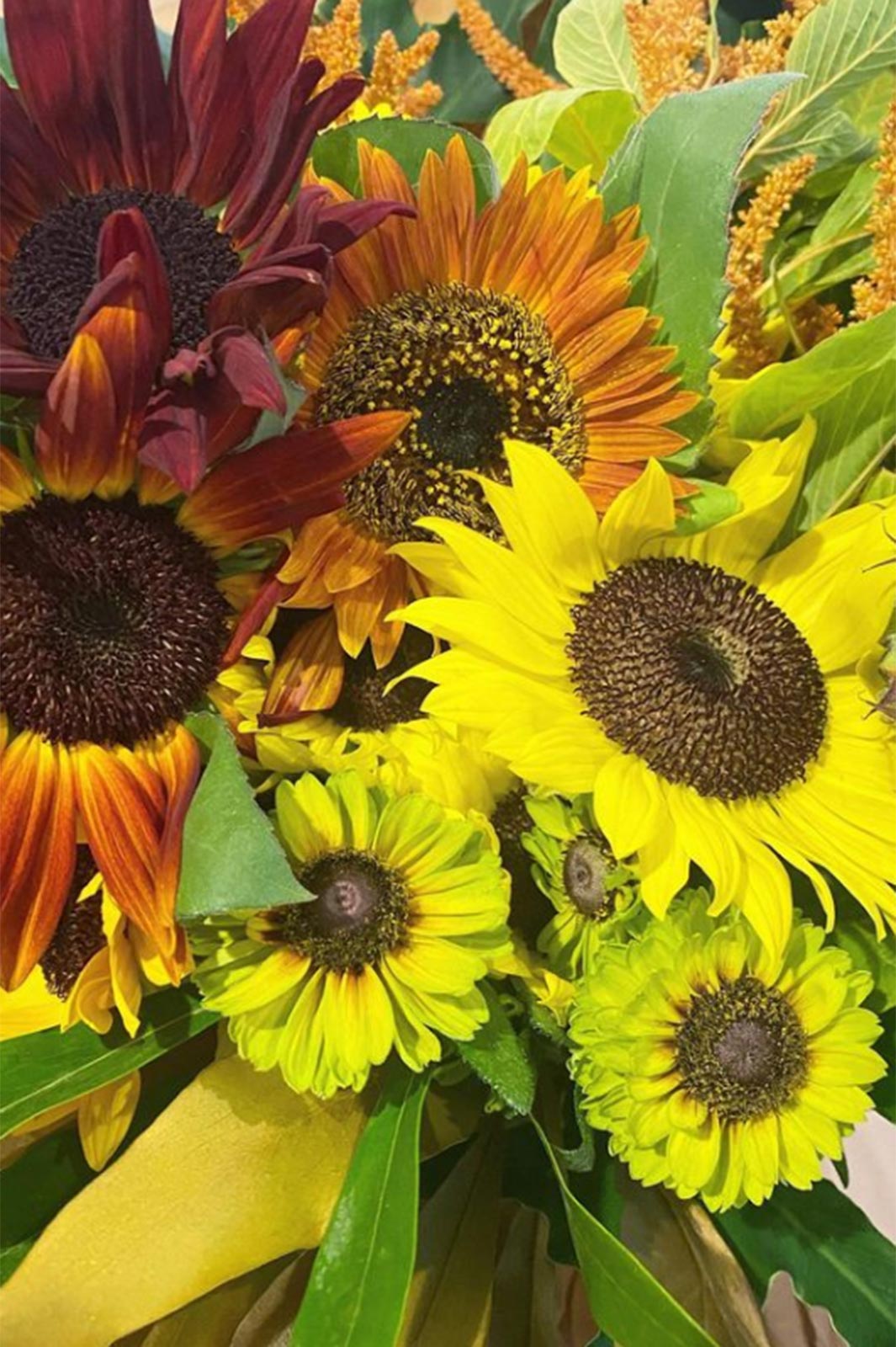 水川あさみInstagramより