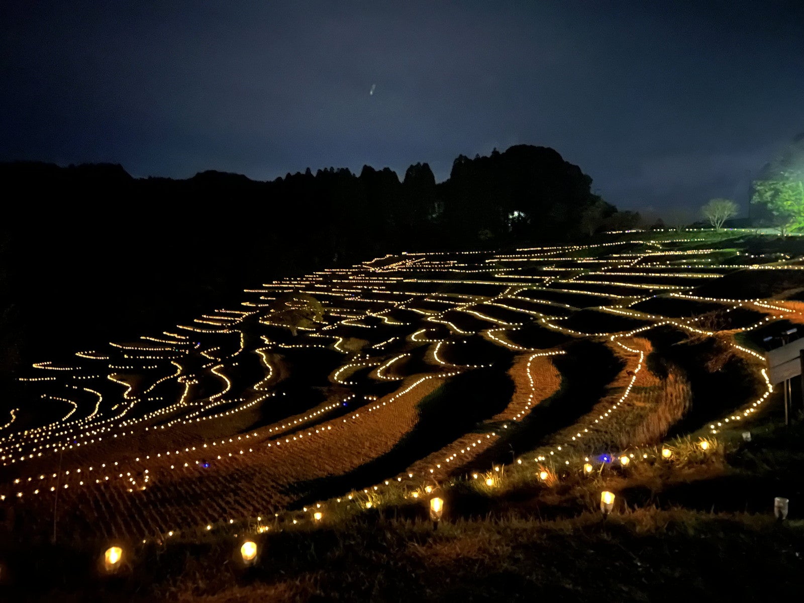 棚田のあかり（提供写真）