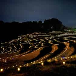 棚田のあかり(提供写真)