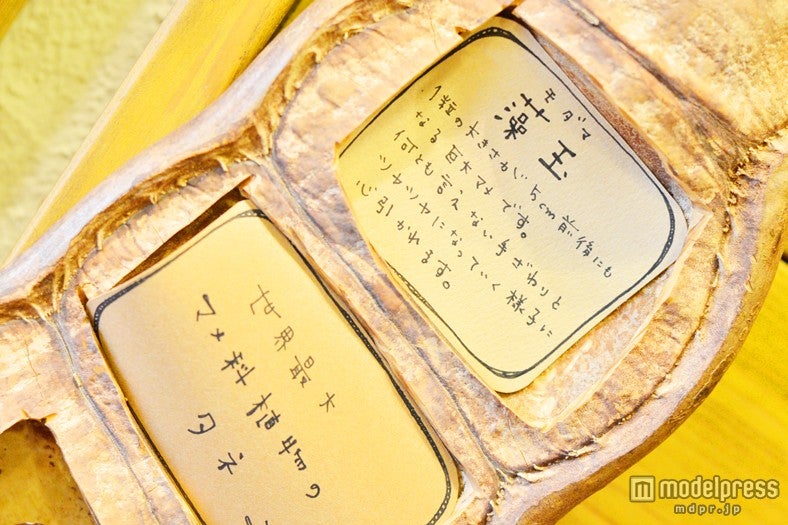 レアな自然素材なのでコアなファンも多い