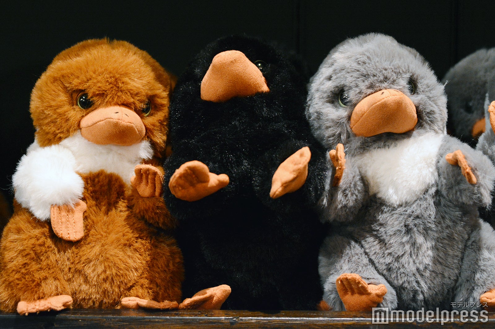 ぬいぐるみ（C）モデルプレス