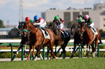 【新馬戦】ショウナンハヤナミ 悠々デビュー星 渡辺師「これからというところでこの勝ち方なので、期待が持てる」