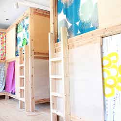 ドミトリー/画像提供:トルビ