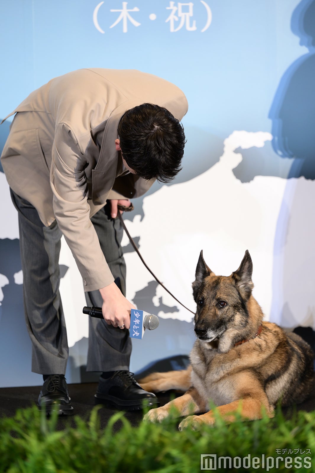 高橋文哉（C）モデルプレス