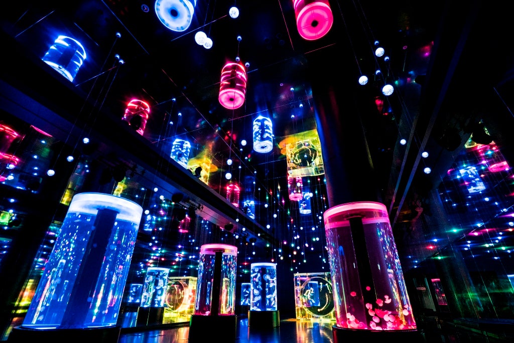 音楽に合わせてカラフルに彩られる「Jellyfish Ramble」／画像提供：横浜八景島