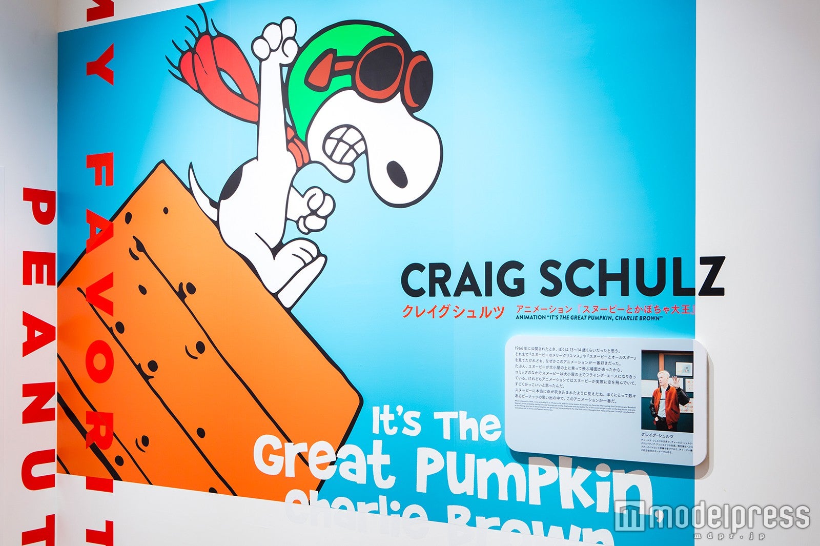 （C）Peanuts Worldwide LLC