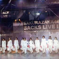 「櫻坂46 BACKS LIVE！！」／撮影：上山陽介