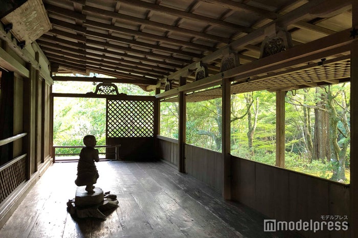 高山寺（C）ビューティーガール