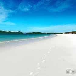 世界で最も美しいと称されるホワイトヘブンビーチ（C）Hamilton Island