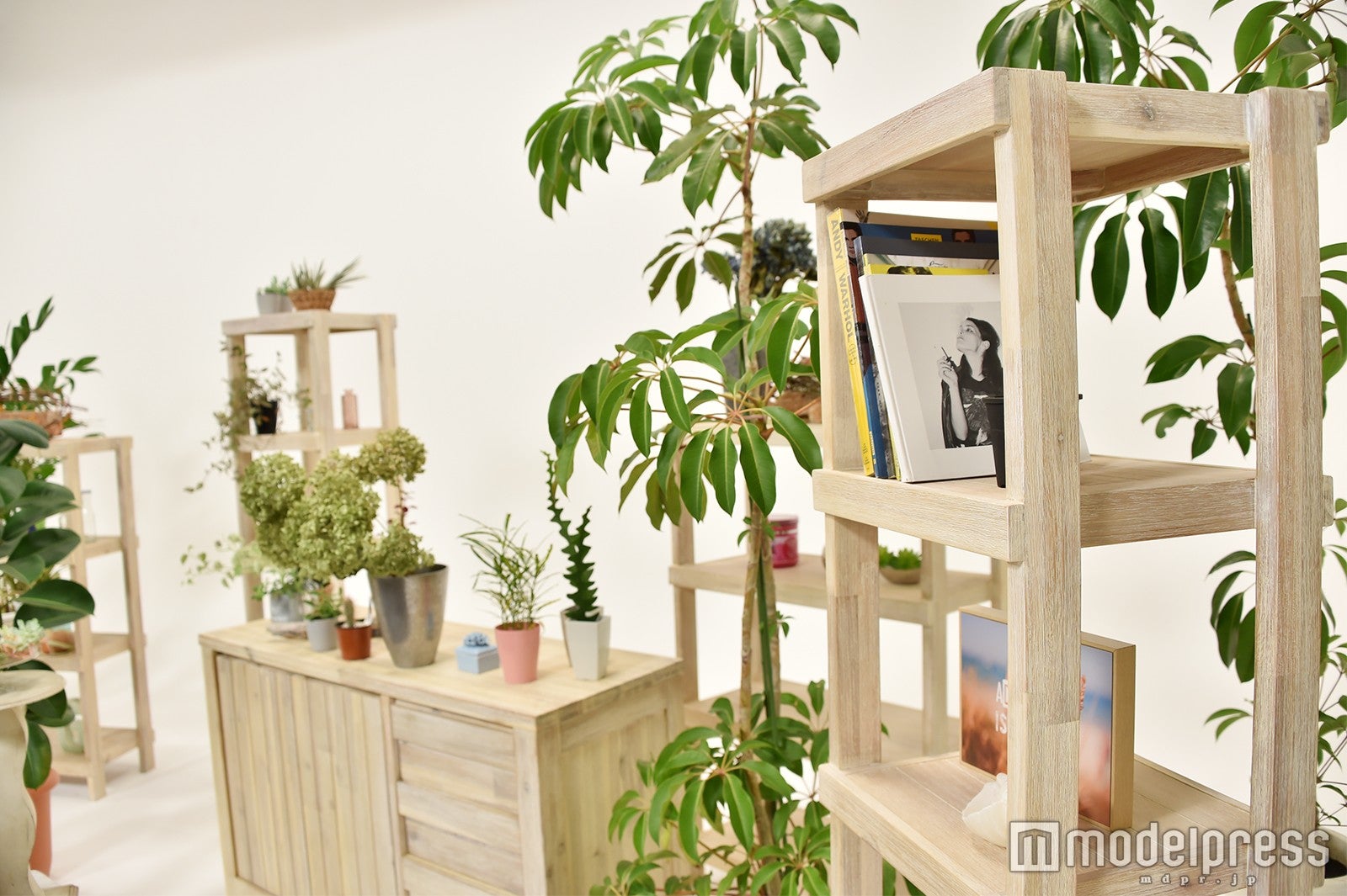 新セット（C）モデルプレス