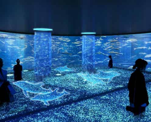 よみうりランド、アート水族館&エンタメ植物園の新設を発表 スーパー遊園地へと進化