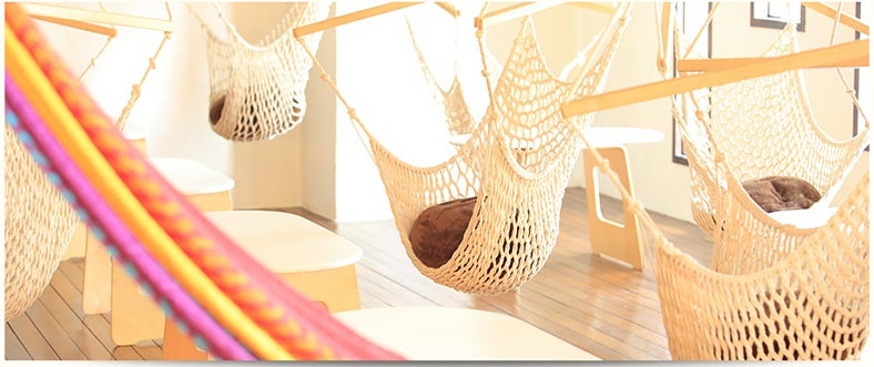 ハンモックカフェ「mahika mano」／「mahika mano」オフィシャルサイトより