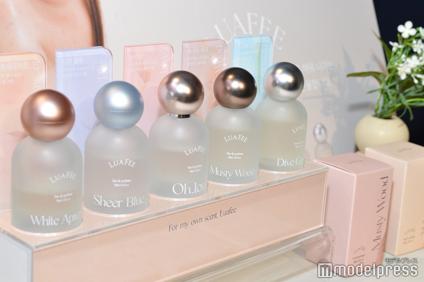 「ルアペ(LUAFEE)」(C)モデルプレス