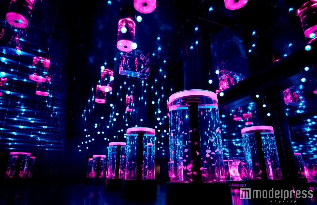 氷の世界のクラゲ水槽に桜が舞う、幻想的な水族館で春を体感