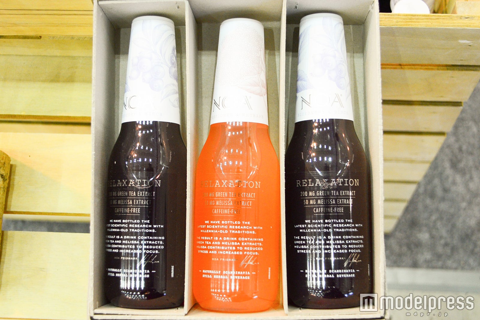 NOA Relaxation（C）モデルプレス