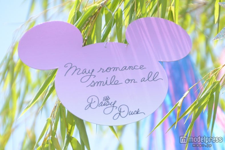 デイジーのウィッシングカード