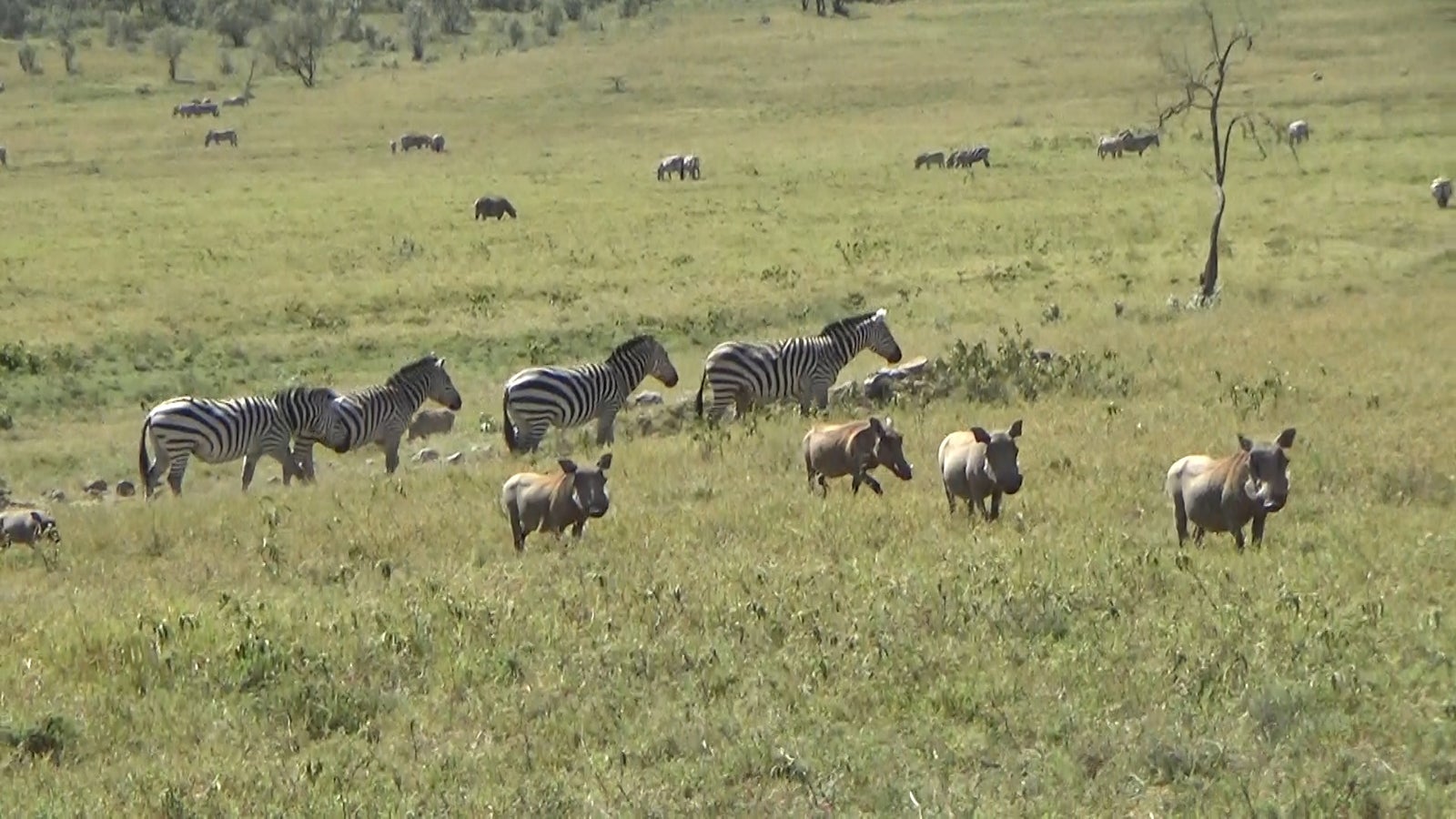 「あいのり：African Journey」第4話より（C）フジテレビ