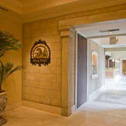 テルメ・ヴェネツィア(C)Disney