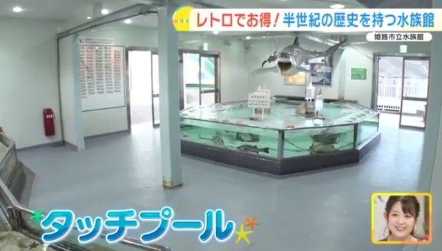 【兵庫】幼児はタダ！水族館なのに「幻のモノレール」も楽しめるスポット