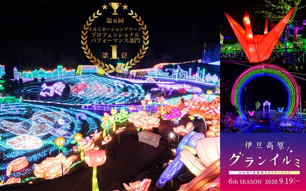 伊豆高原グランイルミ／画像提供：伊豆シャボテン公園