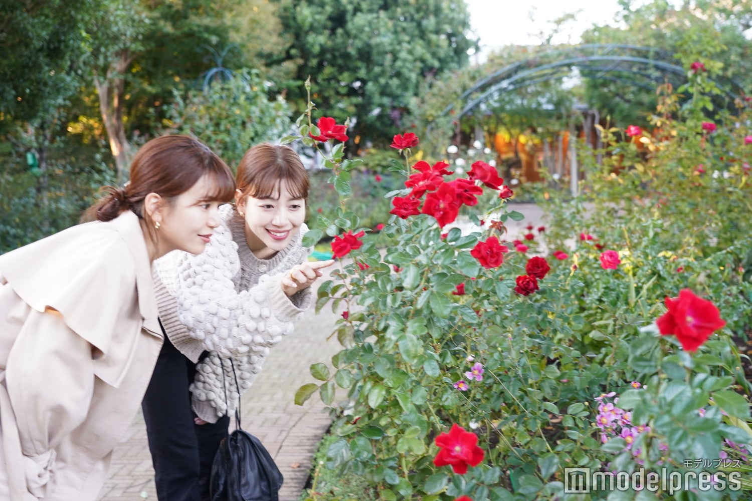 「なばなの里」バラ園（C）モデルプレス
