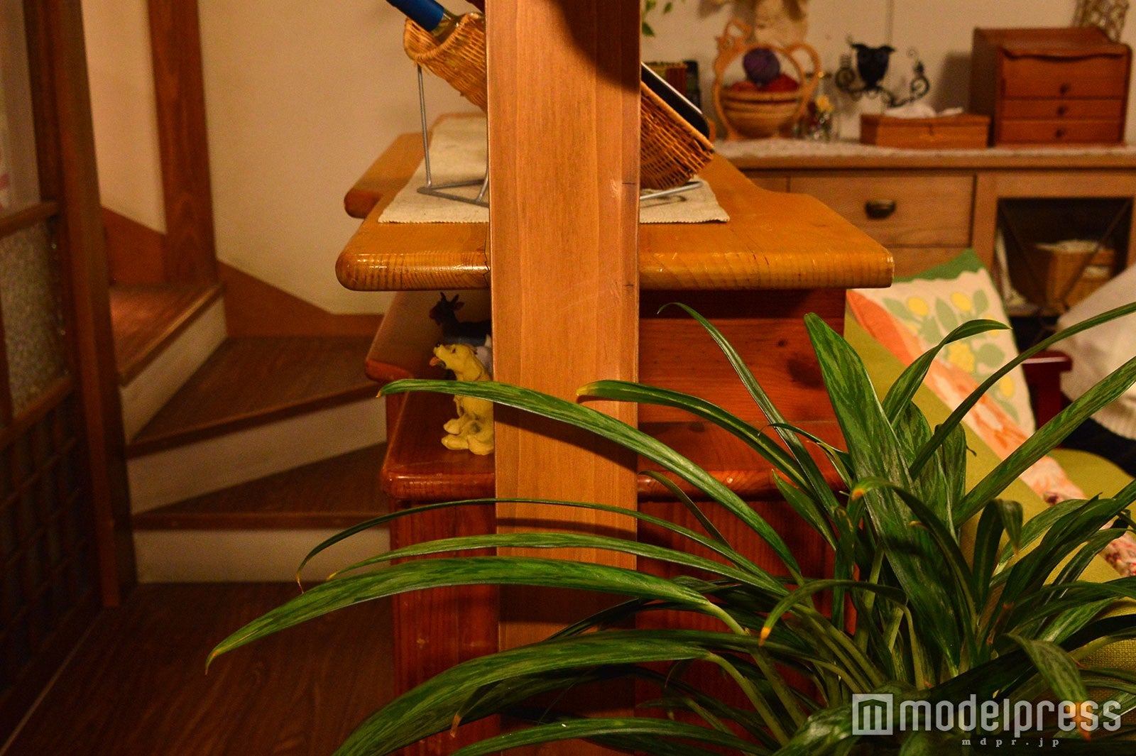 柱には小さく印も！「背比べの印です」（武田さん） （C）モデルプレス