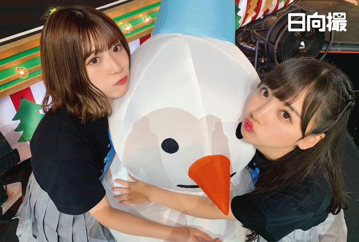 「日向撮」コーチャンフォー特典ポストカード/提供写真