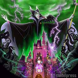 初めての謎解きプログラム「魔法にかけられた夜の王国　奪われたハピネスを取り戻せ！」を開催(C)Disney