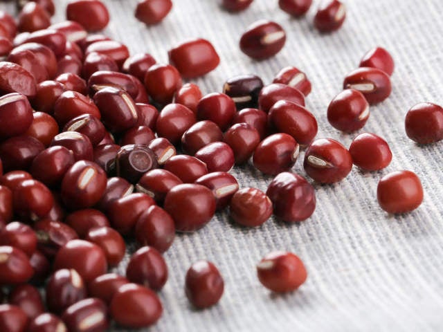 column_f07321a5d7ea05e173454a7eddc7a20d.