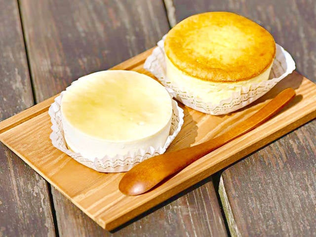 column_16073ff52033e6489bd68a0108f6de53.